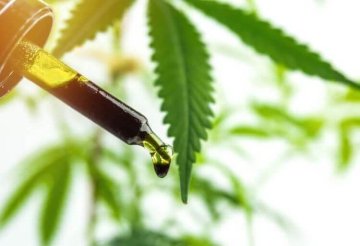 Rozdíl mezi full spectrum, broad spectrum a CBD izolátem