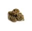 CBD květy JK-53 - Hmotnost: 1 g