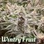 Wintry Fruit