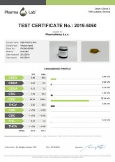 CBD Golden Amber extrakt 30 % (1500 mg) 5 ml