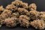 Květy konopí Amnesia CBD - Hmotnost: 3 g