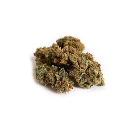 CBD květy JK-53 - Hmotnost: 1 g