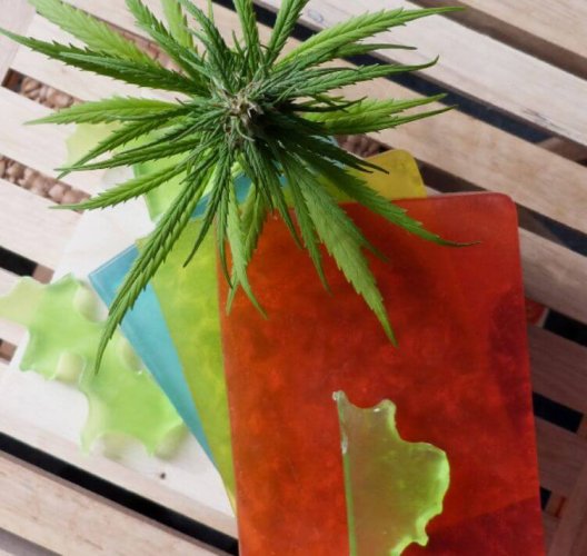 Mýdlový plát s konopným olejem malý 150 g - Barva: Červená