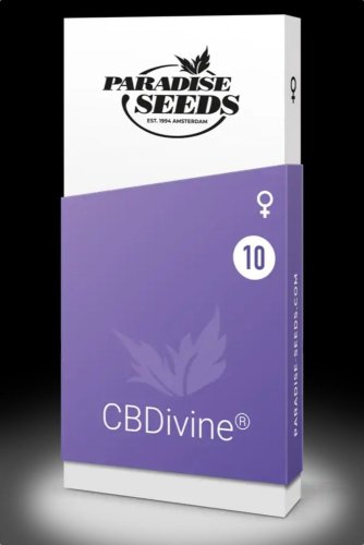 CBDivine™ - Počet ks v balení: 5 Ks