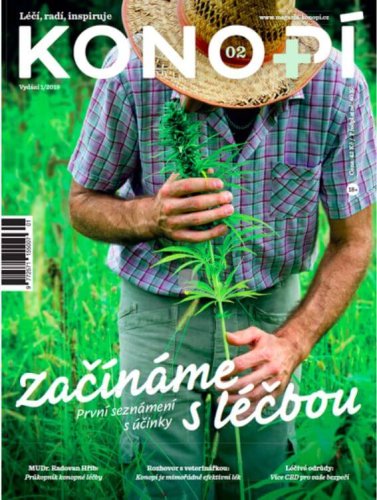 Konopí č. 2 (10. 1. 2019)