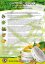 Cannachoco BIO pleťový krém - Objem: 45 ml