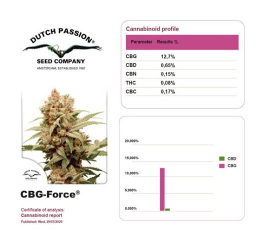 Dutch Passion CBG-Force® - Počet ks v balení: 3 ks