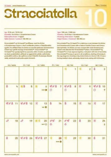 Kalendář Cannapedia 2021 - Feminizované odrůdy (+3 semínka)