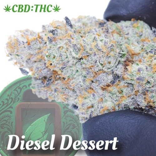 Diesel Dessert - Počet ks v balení: 12 ks