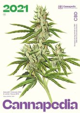 Kalendář Cannapedia 2021 - CBD odrůdy (+3 semínka)