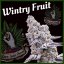 Wintry Fruit