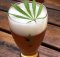Konopné pivo KONOPEX Divoká desítka PET 1 l