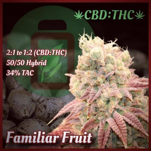 Familiar Fruit - Počet ks v balení: 12 ks
