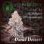 Diesel Dessert - Počet ks v balení: 12 ks