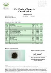 CBD hash 22 % Sour Diesel vs Amnesia Haze 0,5 + 0,5 g