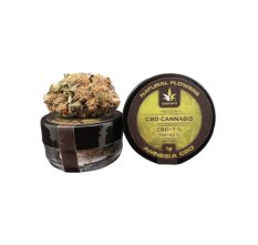 Květy konopí Amnesia CBD