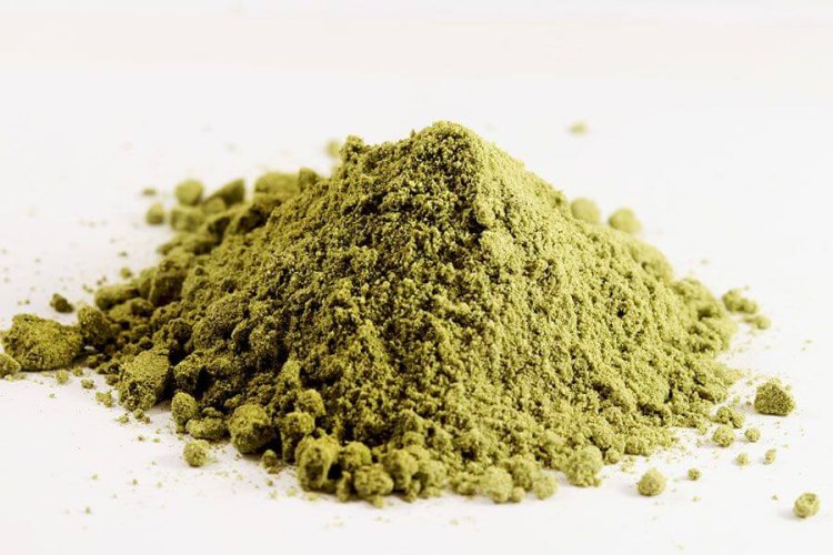Konopný protein Gainer Fitness - Hmotnost: 500 g