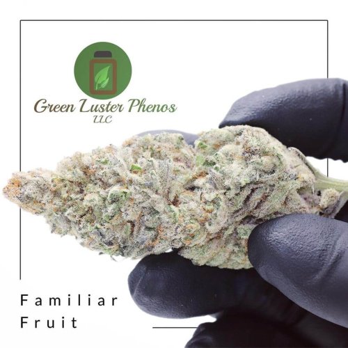 Familiar Fruit - Počet ks v balení: 12 ks