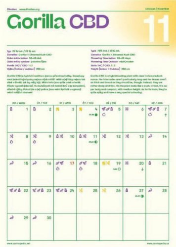 Kalendář Cannapedia 2021 - CBD odrůdy (+3 semínka)