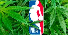 Konopí a sport: NBA nebude v příští sezoně testovat hráče na konopí