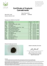 CBD hash 22 % Blueberry vs Amnesia Haze 0,5 + 0,5 g
