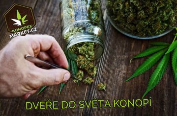 Vítejte ve světě konopí, CBD a CBG produktů!