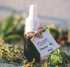 CBGod 9% CBG + 2% CBD 13 ml