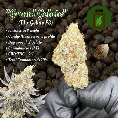 Grand Gelato