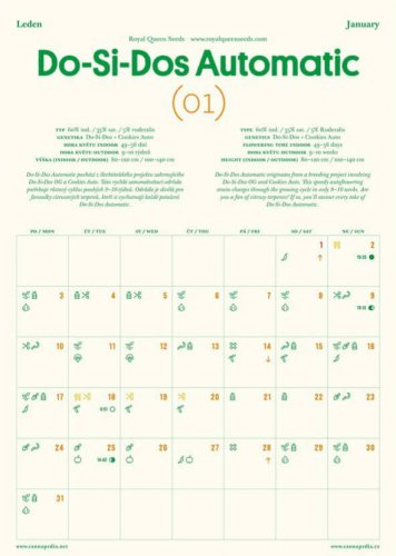 Kalendář Cannapedia 2022 - Samonakvétací odrůdy  (+2 semínka)
