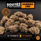 Soutěž o 100 g CBD konopí
