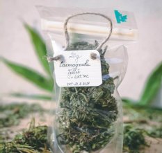 Herba Carmagnola 20 g
