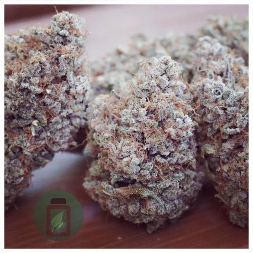 Kush 'N Cream - Počet ks v balení: 6 ks