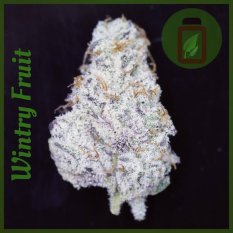 Wintry Fruit