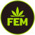 FEMINIZOVANÁ SEMENA
